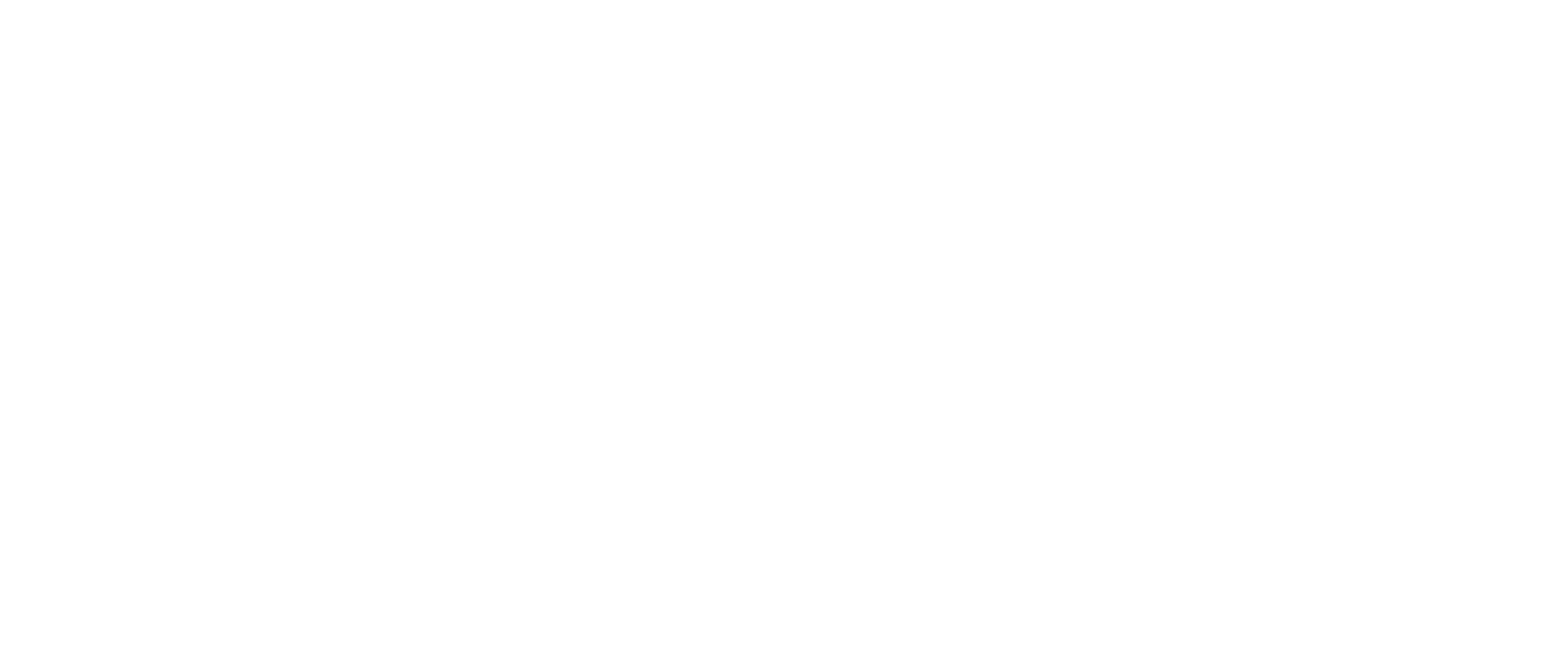 NamCall logo
